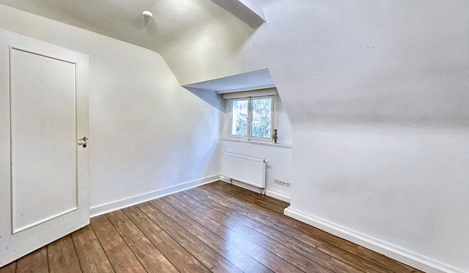 Zimmer DG