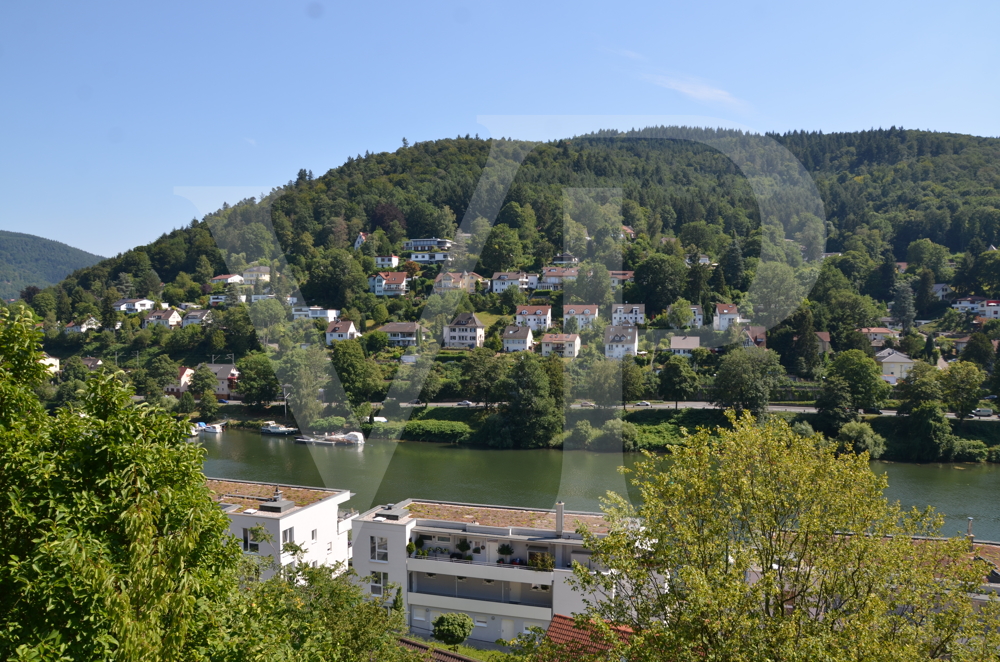 Blick