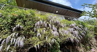 von_poll_real_estate_property_24018036_image_12