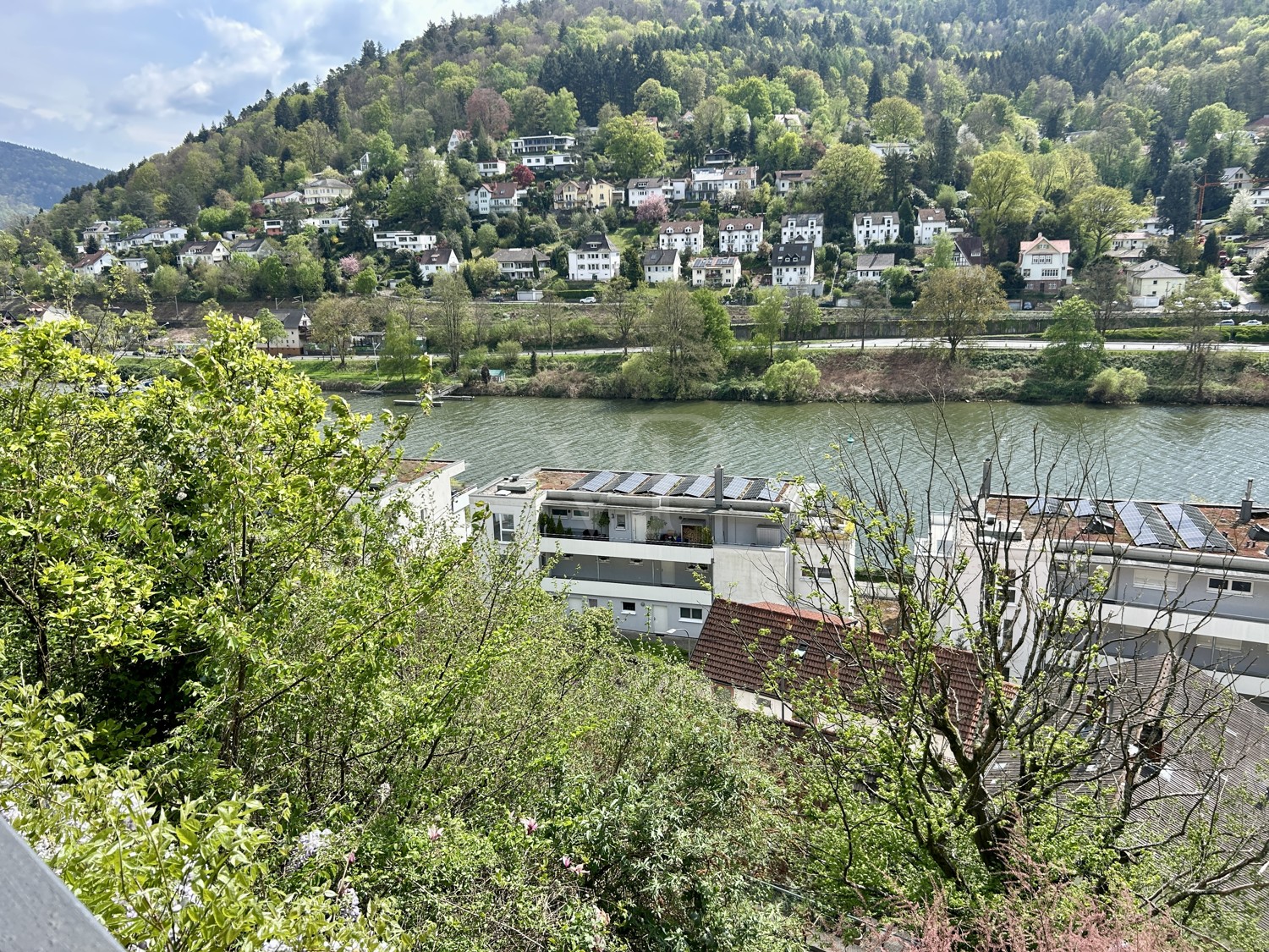 Traumhafte Villa mit frontalem Neckarblick und Personenaufzug