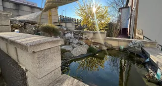 von_poll_real_estate_property_25010003_image_2