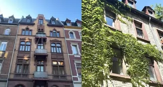 von_poll_real_estate_property_25010002_image_1