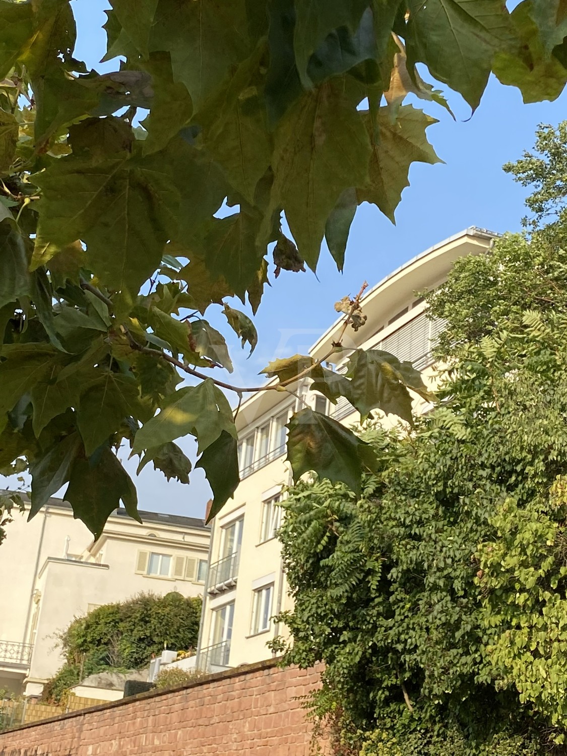 Exklusives, helles Penthouse mit wunderschöner Sonneneinstrahlung,
Schloß- & Neckarblick
