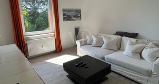 von_poll_real_estate_property_25018012_image_18