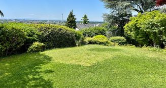 von_poll_real_estate_property_25018012_image_16