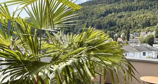 von_poll_real_estate_property_26018003_image_14