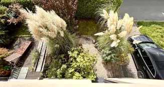 von_poll_real_estate_property_26018003_image_15