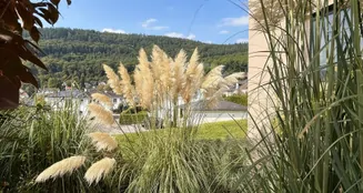 von_poll_real_estate_property_26018003_image_19