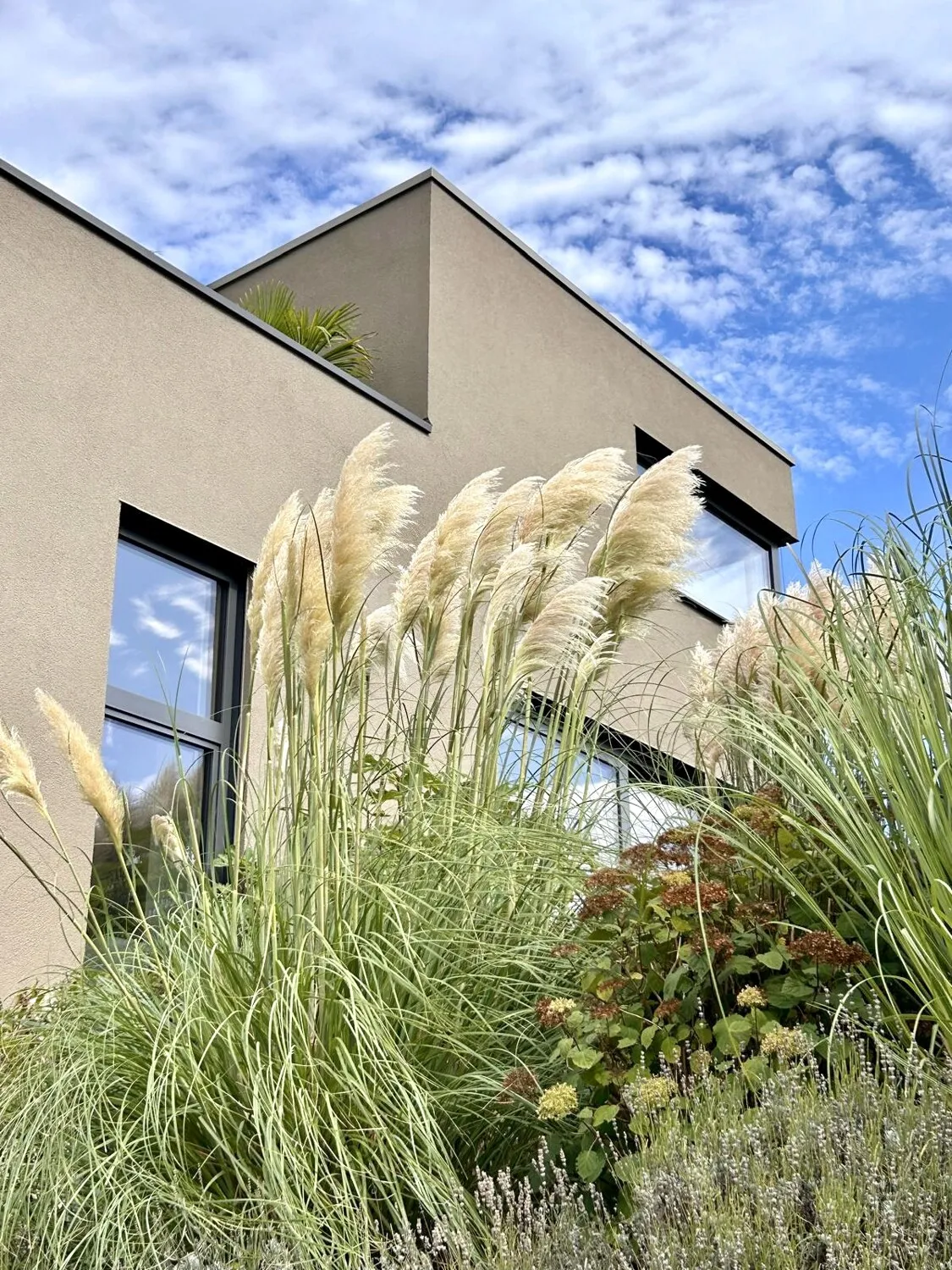 Exklusives Architektenhaus mit Design-Highlights und offenem Wohnkonzept