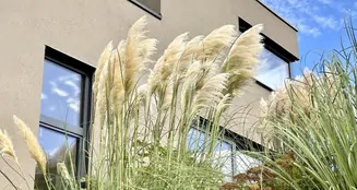 von_poll_real_estate_property_26018003_image_20