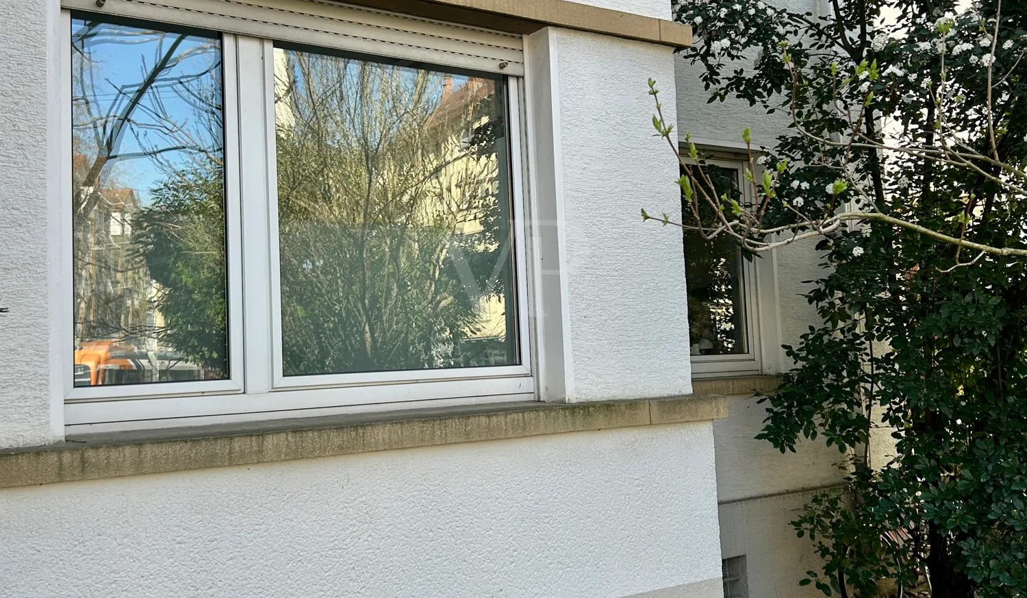 Hochparterrewohnung mit Garten – mit etwas Liebe erstrahlt sie als Schmuckstück