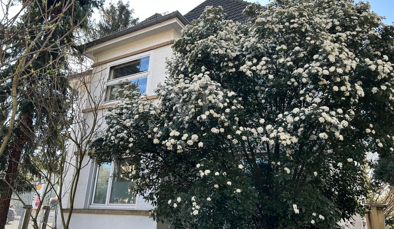 Hochparterrewohnung mit Garten – mit etwas Liebe erstrahlt sie als Schmuckstück