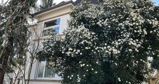 von_poll_real_estate_property_25018003_2_image_13