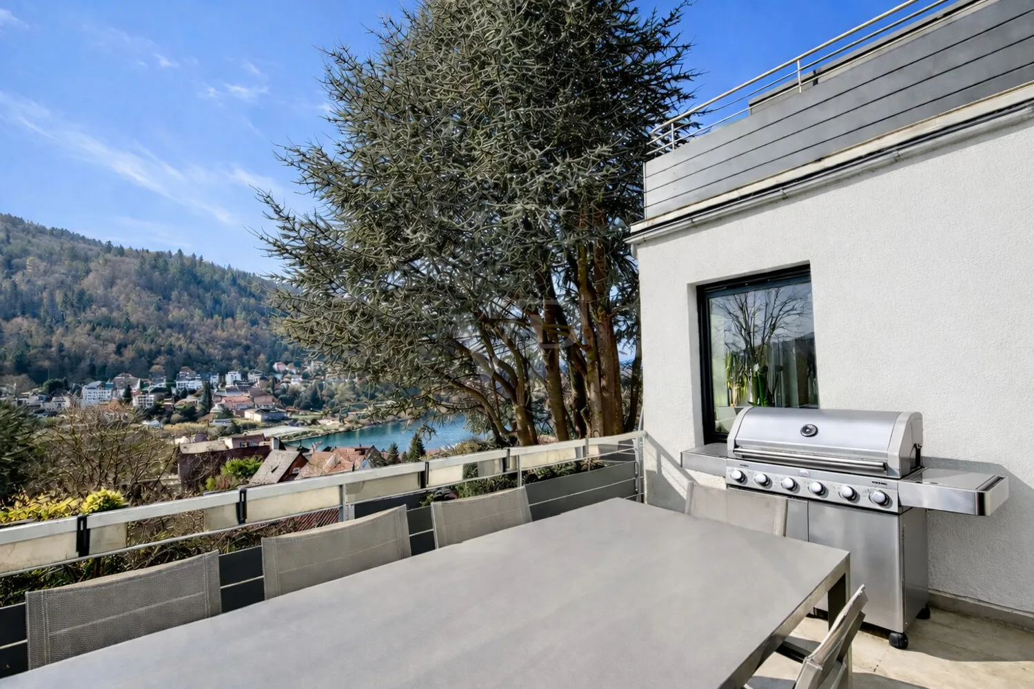 Terrasse mit Grill EG