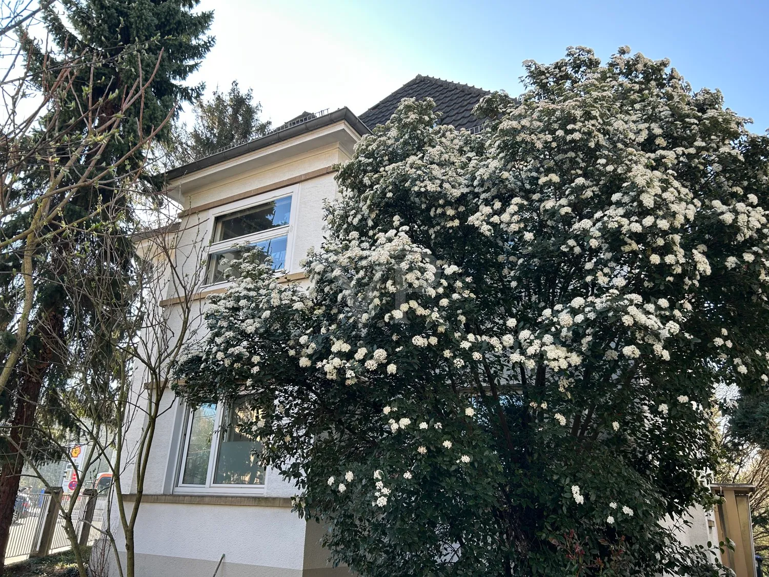 Hochparterrewohnung mit Garten – mit etwas Liebe erstrahlt sie als Schmuckstück, 1 Stellplatz