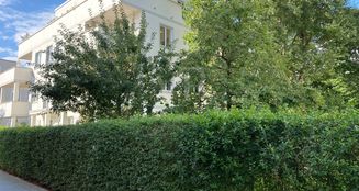 von_poll_real_estate_property_25176034_image_15