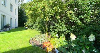 von_poll_real_estate_property_25176034_image_10