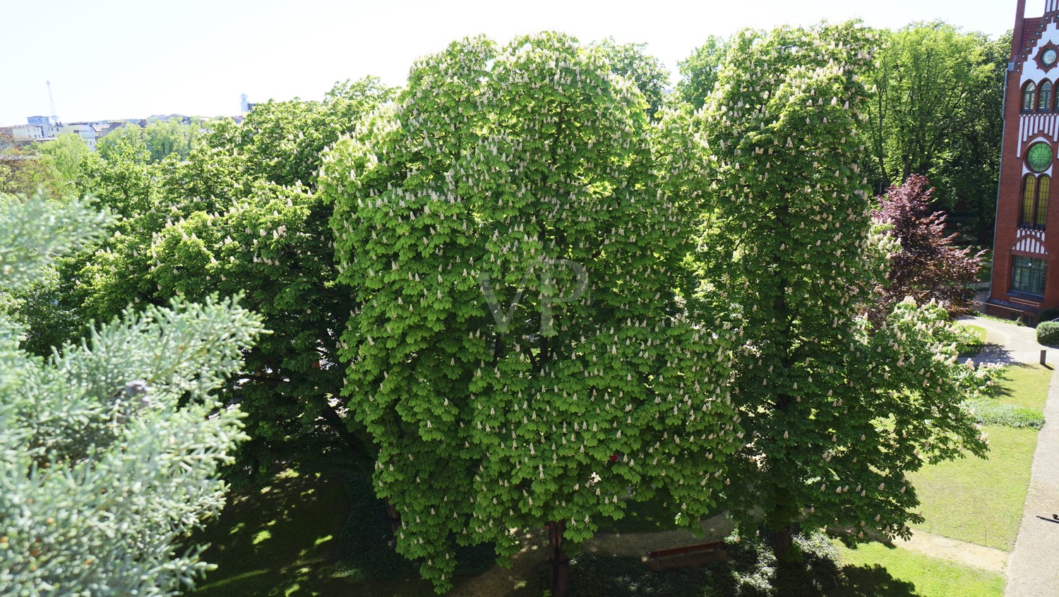 Blick in den Privatpark