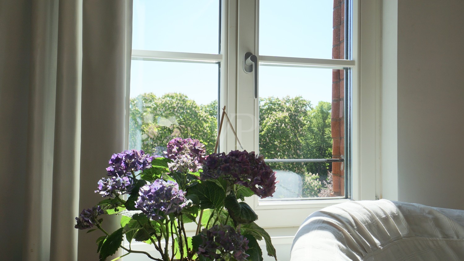 am Fenster