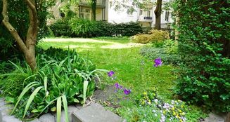 von_poll_real_estate_property_25176010_image_14