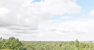 von_poll_real_estate_property_25176037_image_12