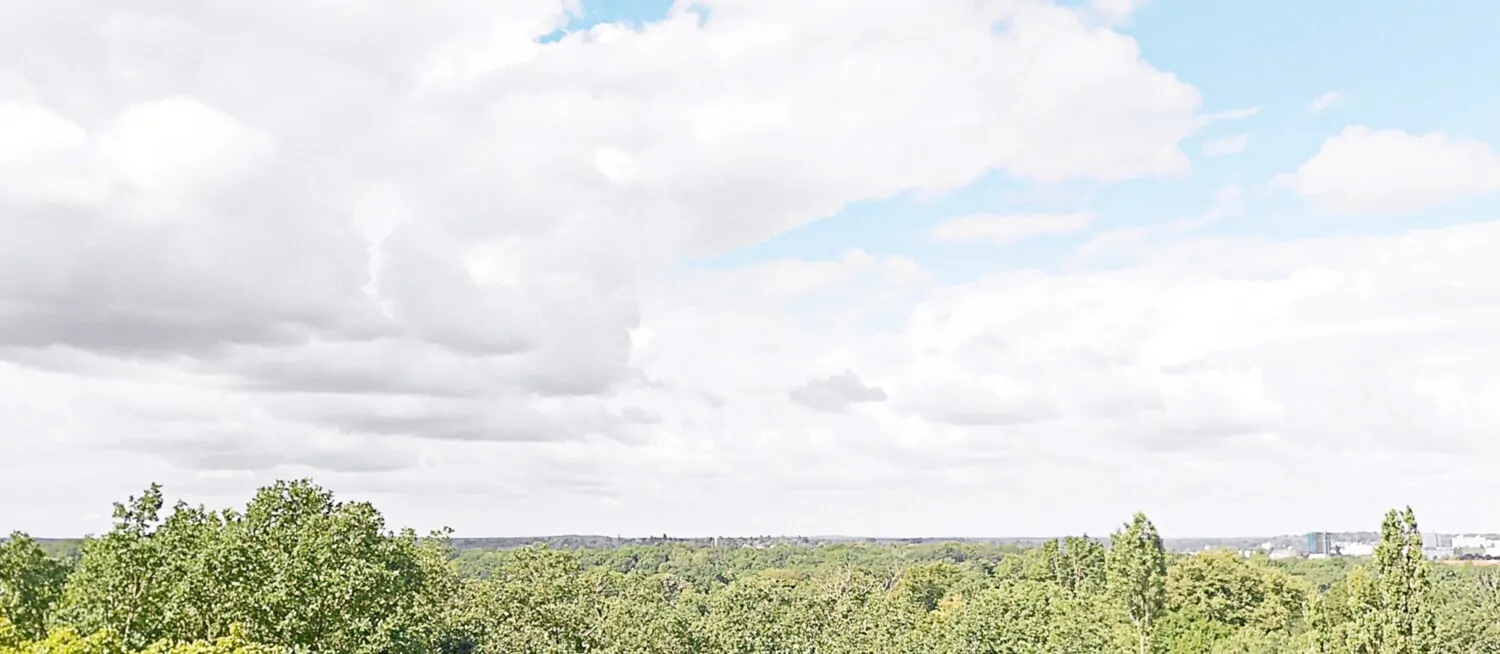 Balkonblick ins Grüne