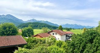 von_poll_real_estate_property_25102011_image_0