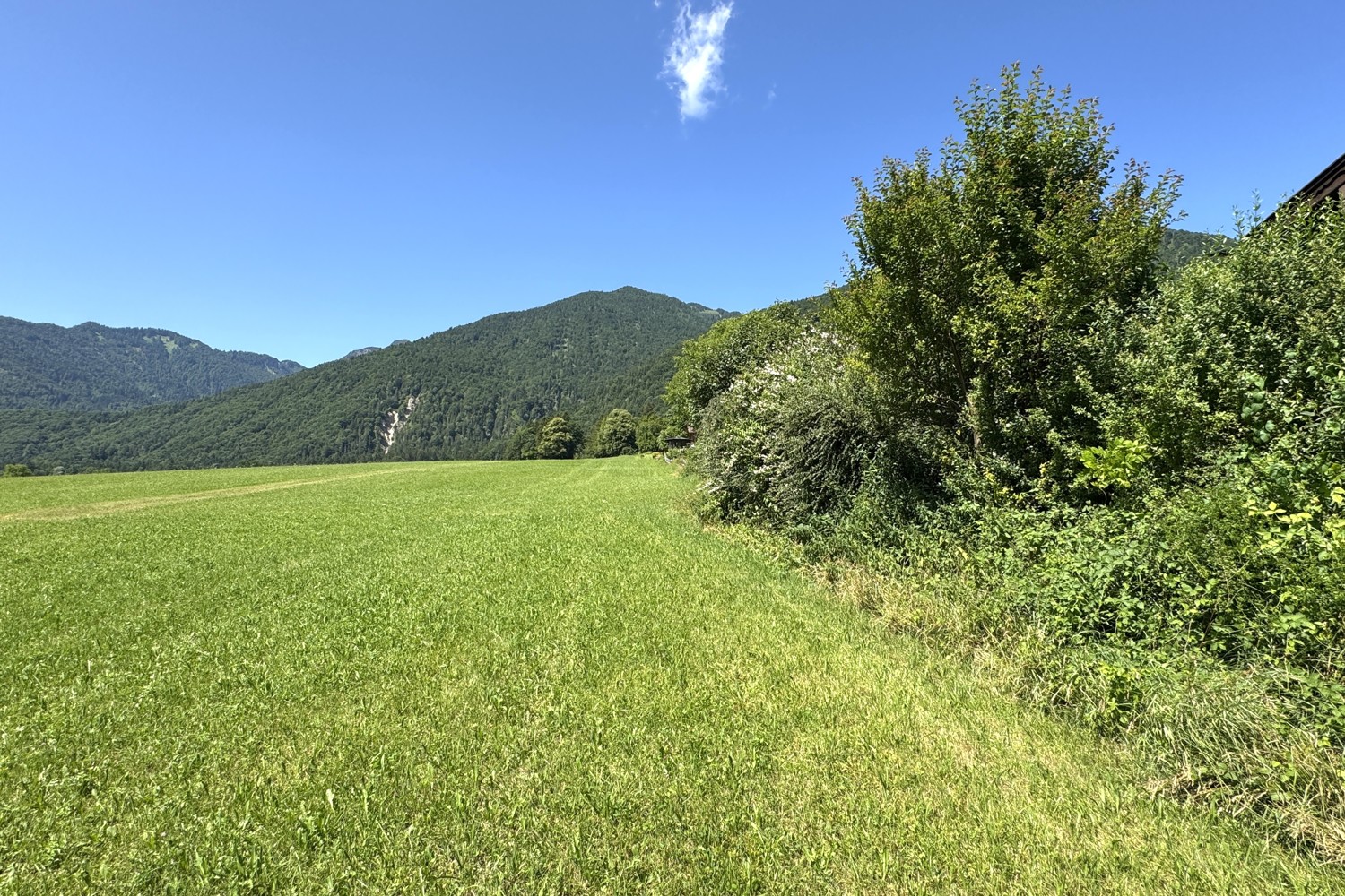 IMG_0842