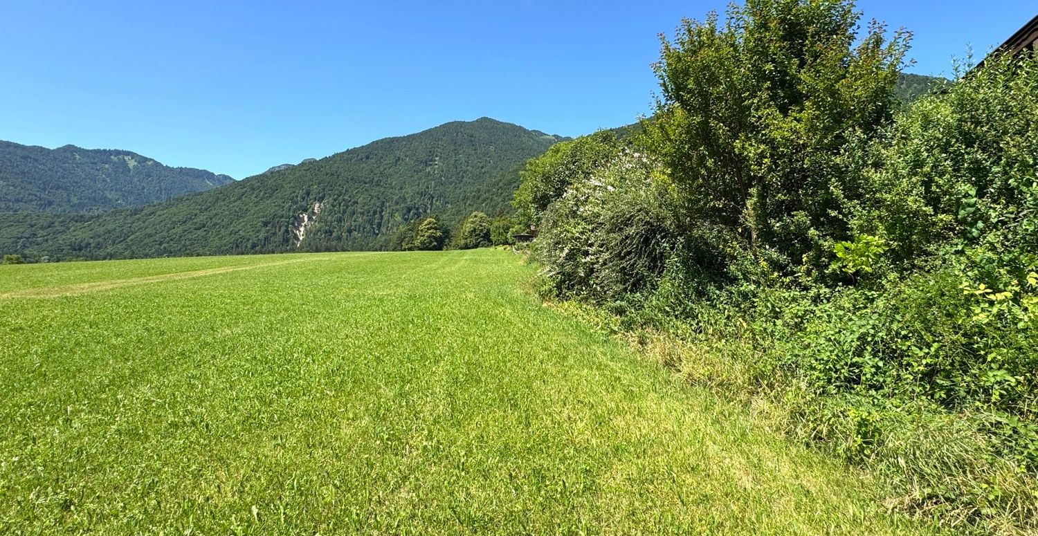 IMG_0842
