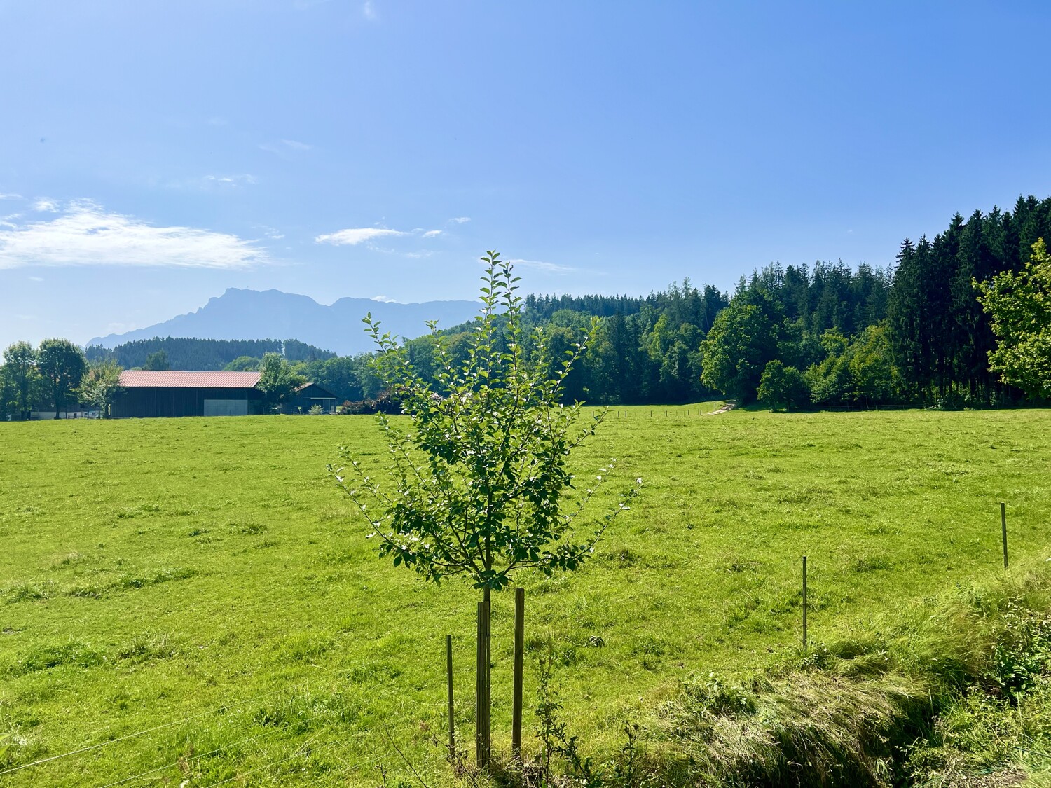 Ausblick