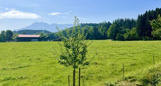 von_poll_real_estate_property_25102020_image_7
