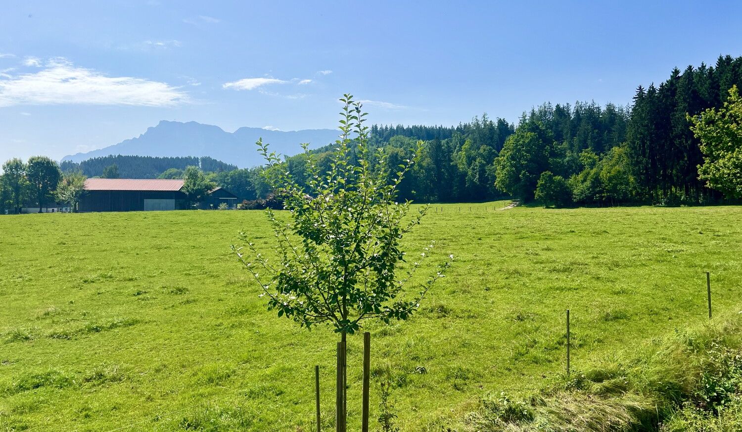 Ausblick