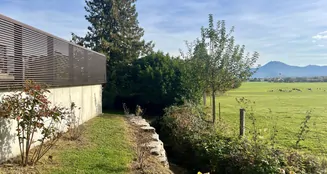 von_poll_real_estate_property_25102024_image_5