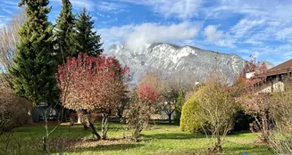 von_poll_real_estate_property_25102026_image_2