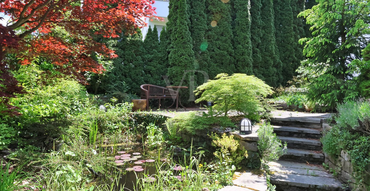 Gartenbereich mit Teich