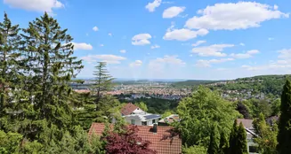 von_poll_real_estate_property_25143006_image_5