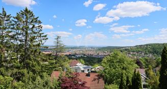 von_poll_real_estate_property_25143006_image_6
