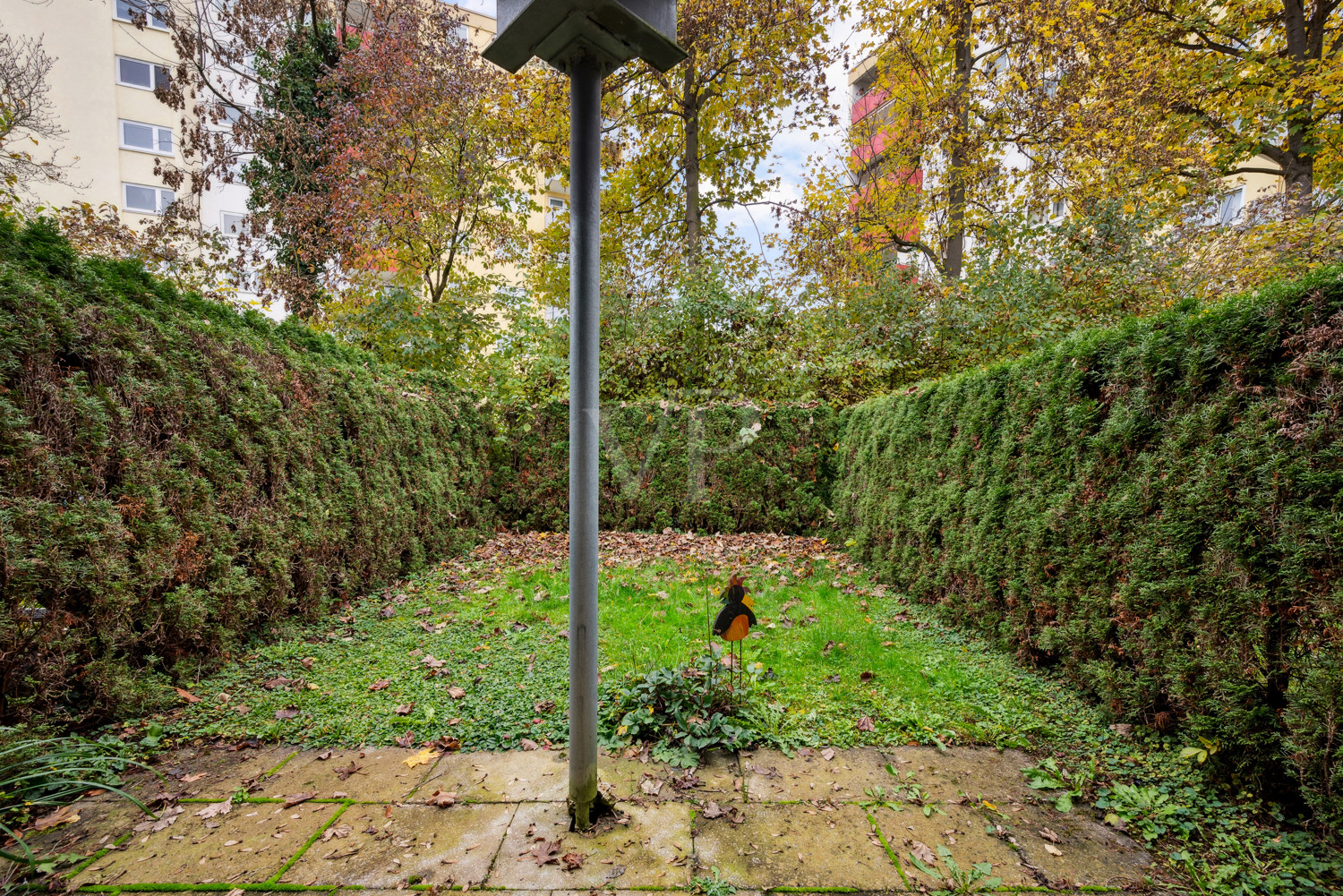 Blick in den Garten