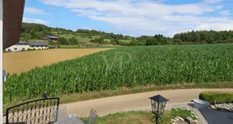 von_poll_real_estate_property_25143018_image_3