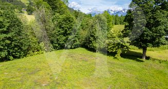 von_poll_real_estate_property_0441161_image_1