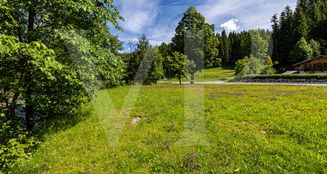 von_poll_real_estate_property_0441161_image_0