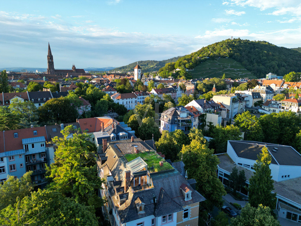 Luftbild mit Münster und Schlossberg