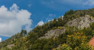 von_poll_real_estate_property_24022073_image_39