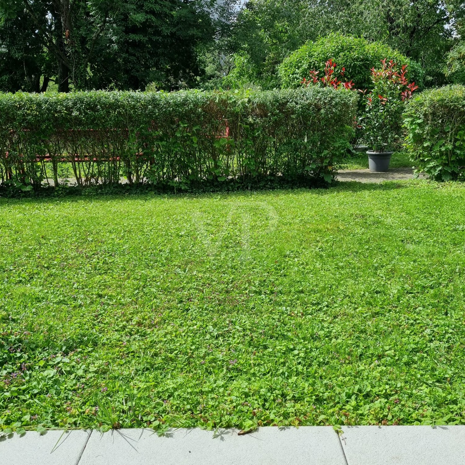 Terrasse mit großem Garten