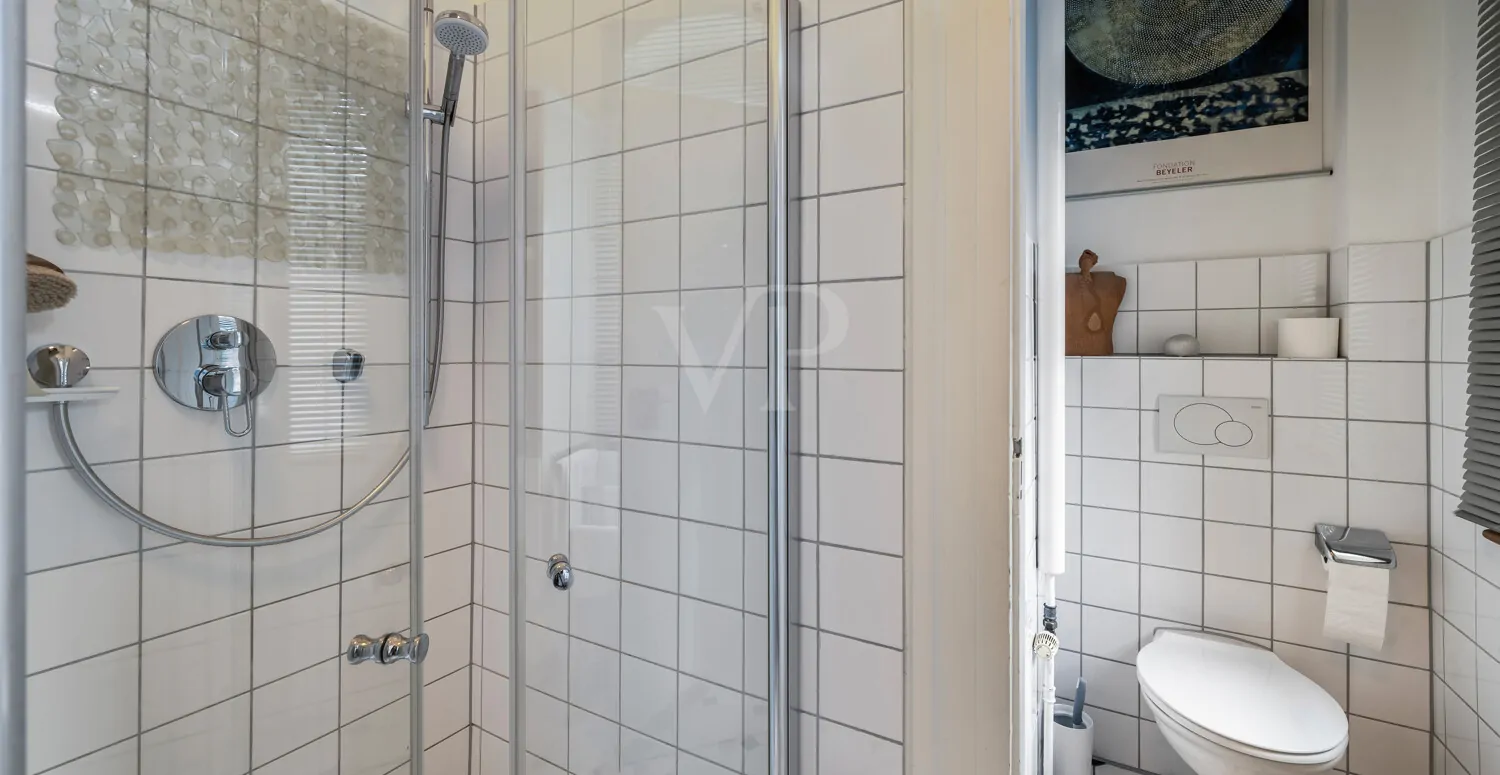 Tageslichtbadezimmer mit integrierter Dusche und WC