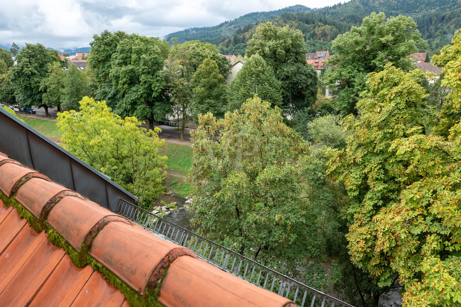 Blick vom Balkon in Richtung Dreisam
