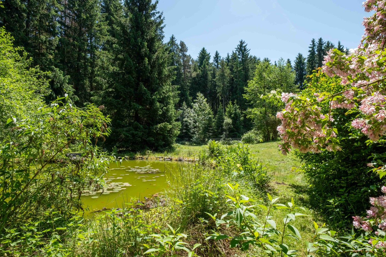 Einfamilienhaus in einzigartiger Alleinlage - Naturparadies im Waldgebiet der Nicklheimer Filzen