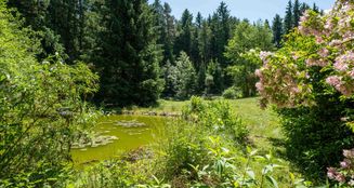 von_poll_real_estate_property_25042008_image_4