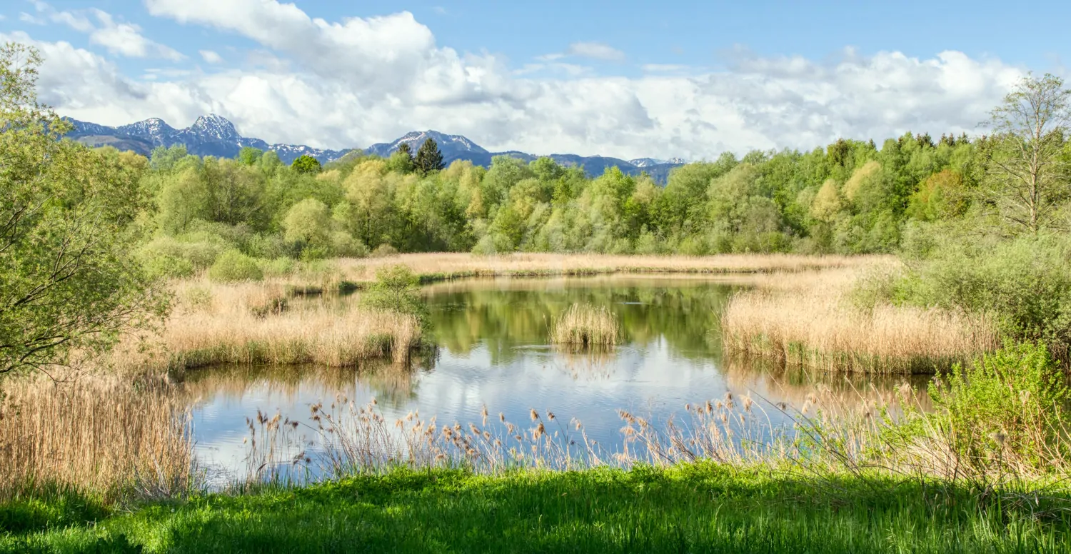 Naherholungsgebiet, Am Tonwerkweiher
