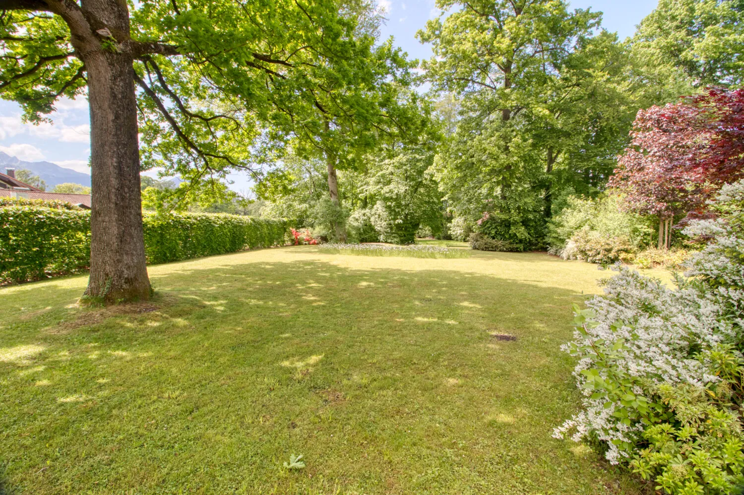 West Garten mit altem Baumbestand